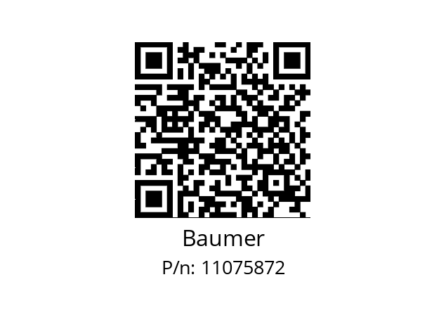   Baumer 11075872