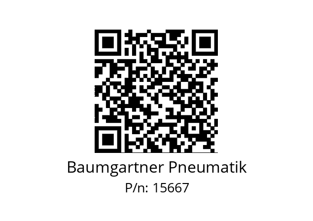   Baumgartner Pneumatik 15667