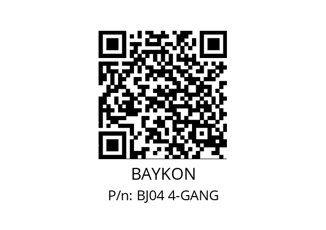   BAYKON BJ04 4-GANG