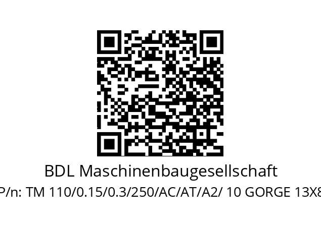   BDL Maschinenbaugesellschaft TM 110/0.15/0.3/250/AC/AT/A2/ 10 GORGE 13X8