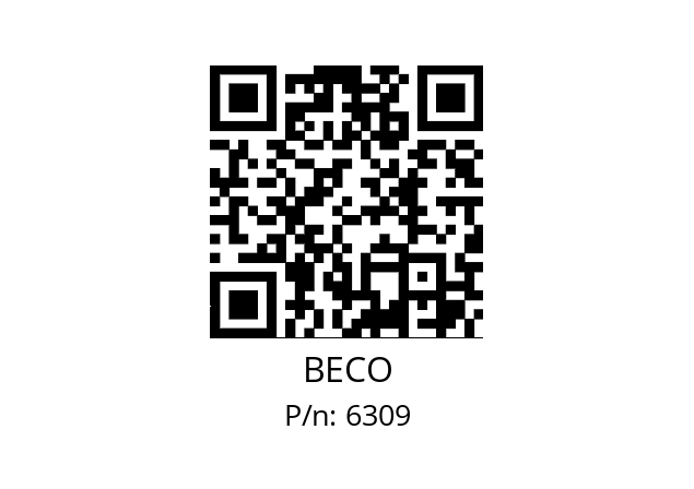   BECO 6309