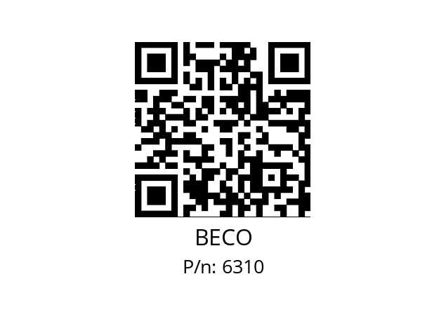   BECO 6310