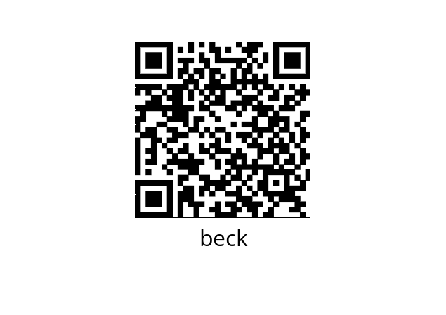  BG20-H02-P04-S0.10 beck 