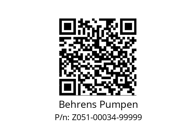   Behrens Pumpen Z051-00034-99999