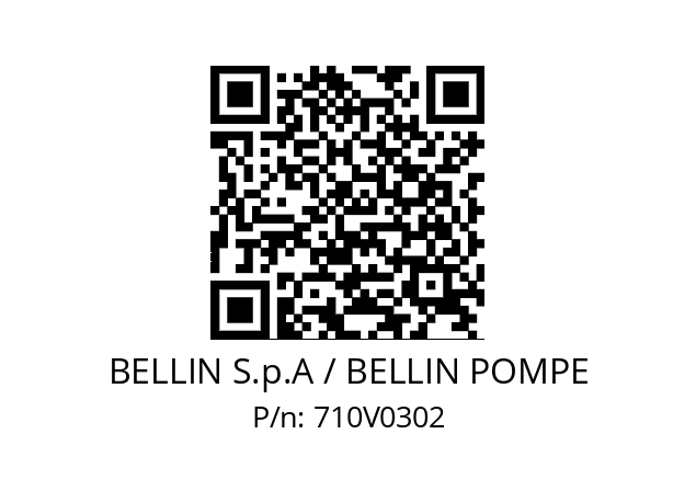   BELLIN S.p.A / BELLIN POMPE 710V0302