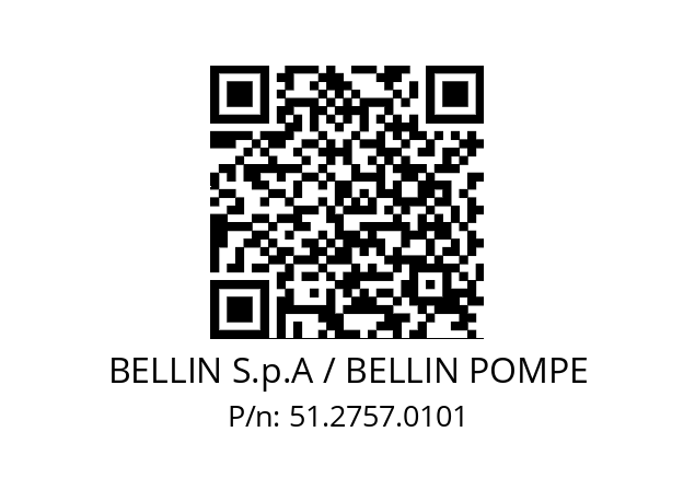   BELLIN S.p.A / BELLIN POMPE 51.2757.0101