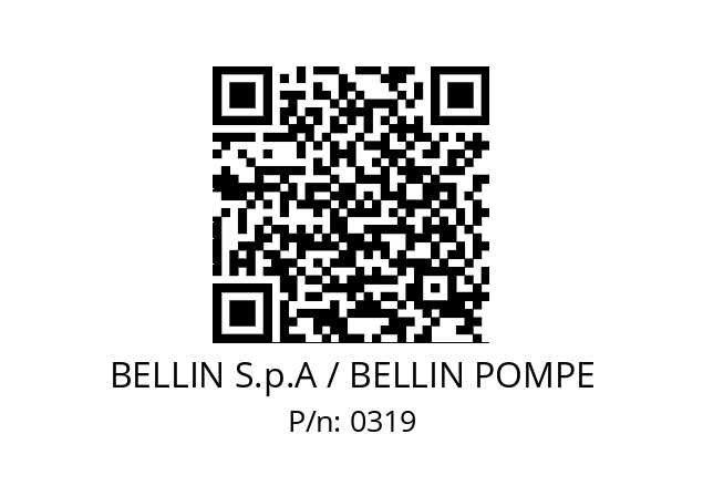   BELLIN S.p.A / BELLIN POMPE 0319