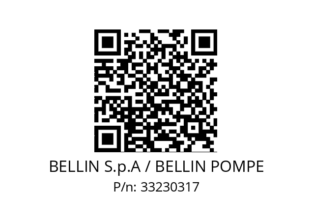   BELLIN S.p.A / BELLIN POMPE 33230317