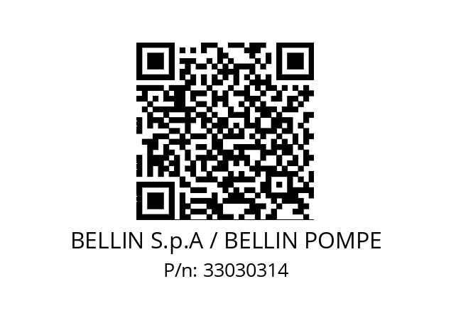   BELLIN S.p.A / BELLIN POMPE 33030314