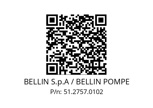   BELLIN S.p.A / BELLIN POMPE 51.2757.0102