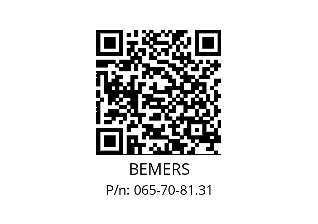   BEMERS 065-70-81.31