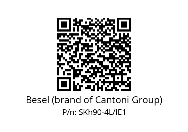   Besel (brand of Cantoni Group) SKh90-4L/IE1