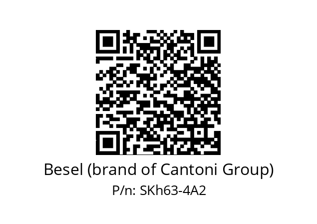   Besel (brand of Cantoni Group) SKh63-4A2