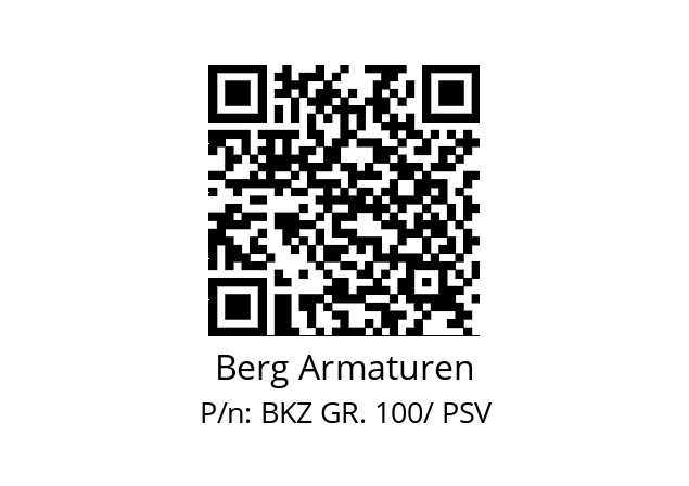   Berg Armaturen BKZ GR. 100/ PSV