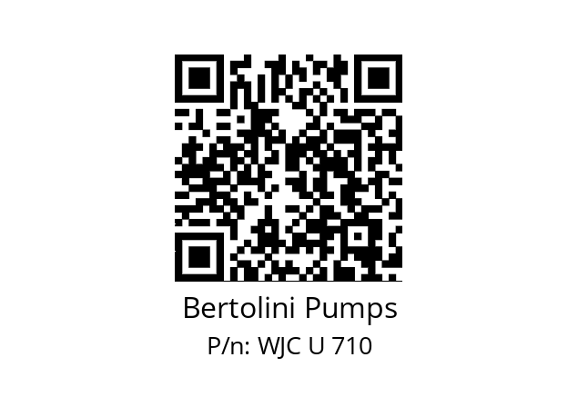   Bertolini Pumps WJC U 710