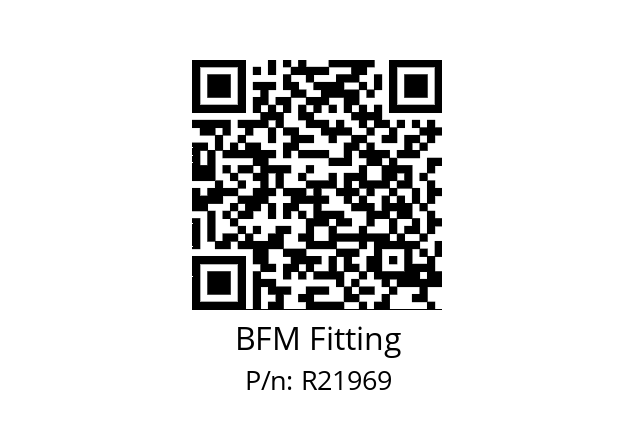   BFM Fitting R21969