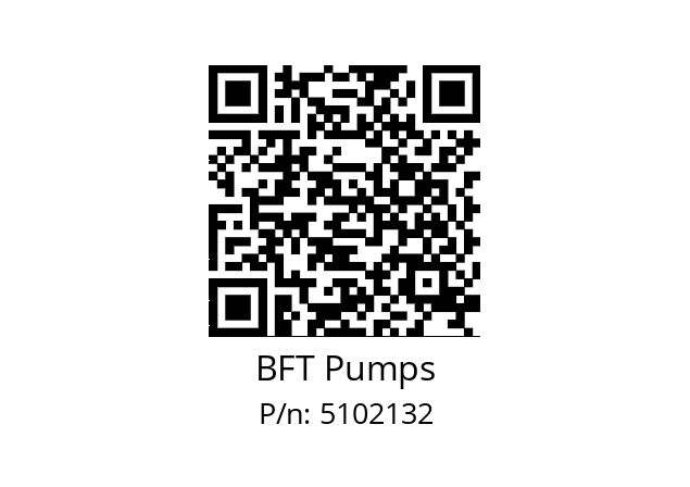   BFT Pumps 5102132