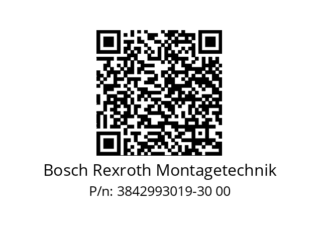   Bosch Rexroth Montagetechnik 3842993019-30 00