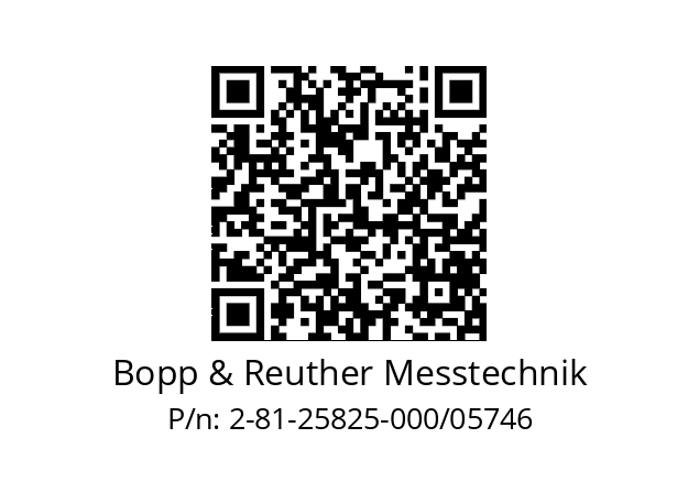   Bopp & Reuther Messtechnik 2-81-25825-000/05746