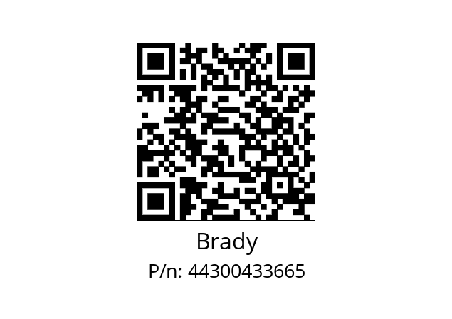   Brady 44300433665