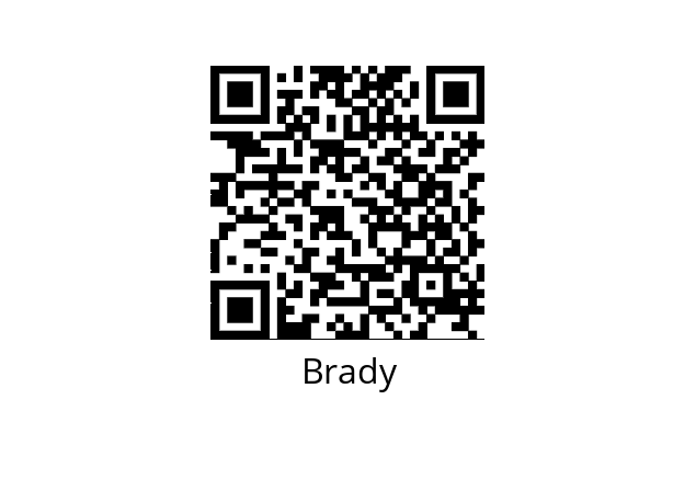  806200 Brady 