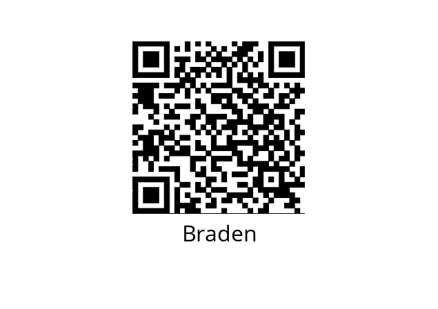  CH210A-36120-02-1 Braden 