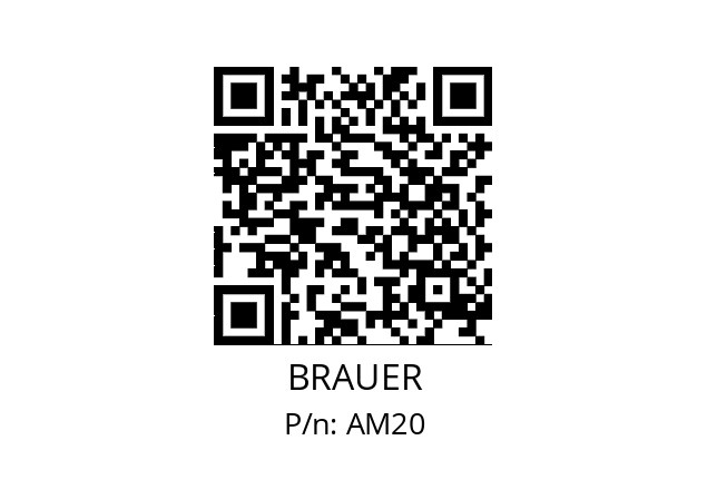  1106011 BRAUER AM20