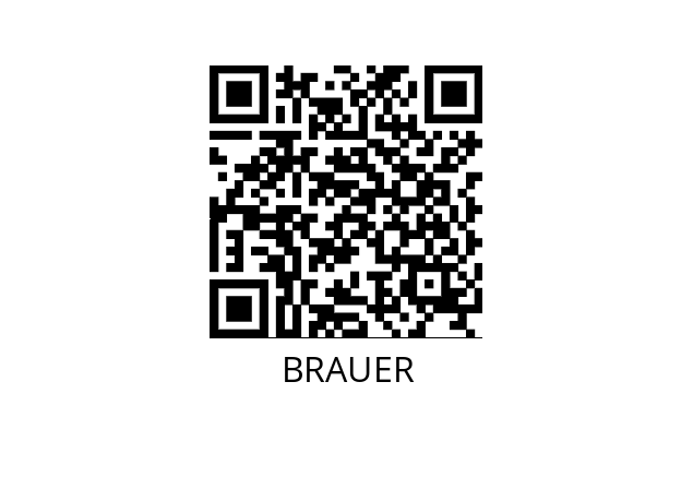  694-AM40 BRAUER 