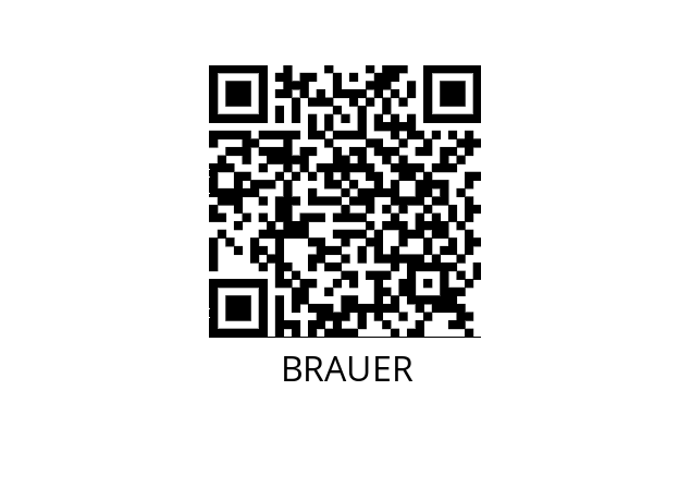  HQZF/SFT200/90TB BRAUER 