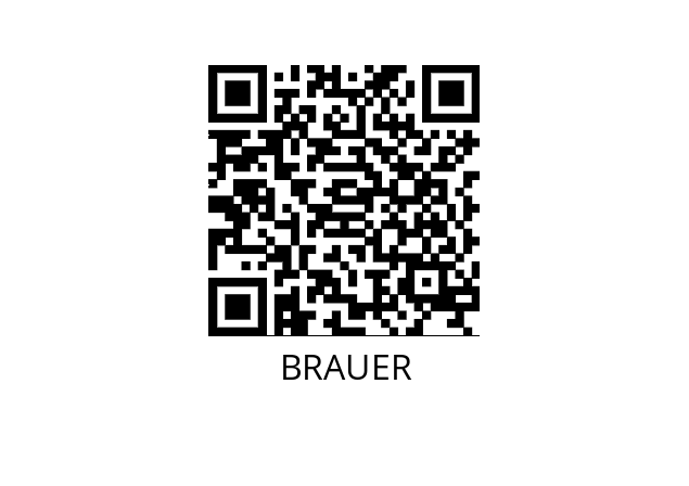  K0087.1200 BRAUER 