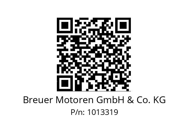   Breuer Motoren GmbH & Co. KG 1013319