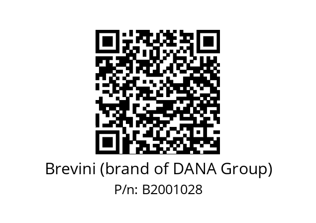  PD2020 MR1 Brevini (brand of DANA Group) B2001028