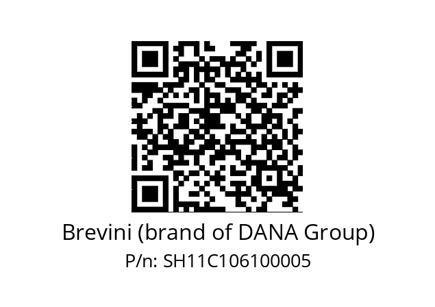   Brevini (brand of DANA Group) SH11C106100005