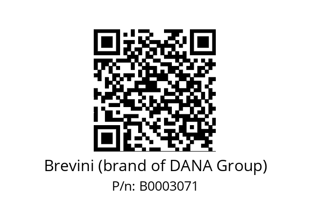   Brevini (brand of DANA Group) B0003071