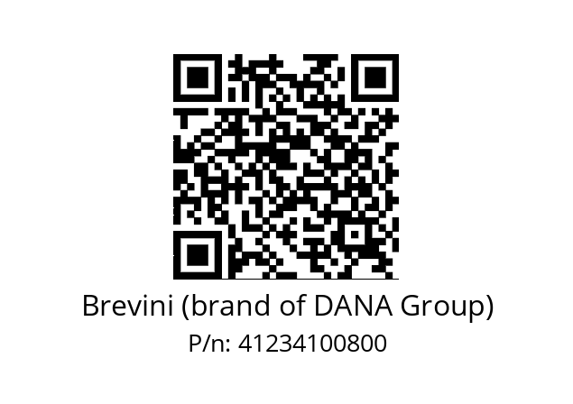   Brevini (brand of DANA Group) 41234100800