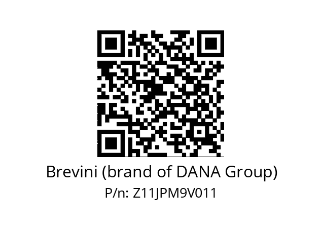   Brevini (brand of DANA Group) Z11JPM9V011