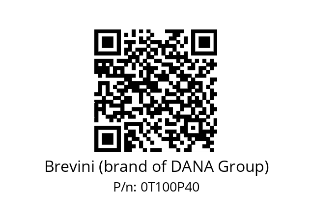   Brevini (brand of DANA Group) 0T100P40