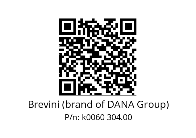   Brevini (brand of DANA Group) k0060 304.00