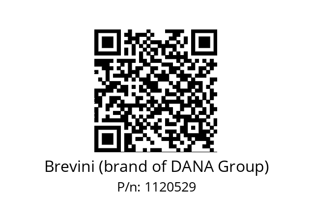   Brevini (brand of DANA Group) 1120529