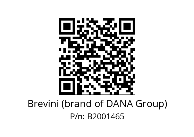   Brevini (brand of DANA Group) B2001465