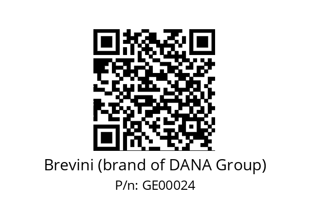   Brevini (brand of DANA Group) GE00024