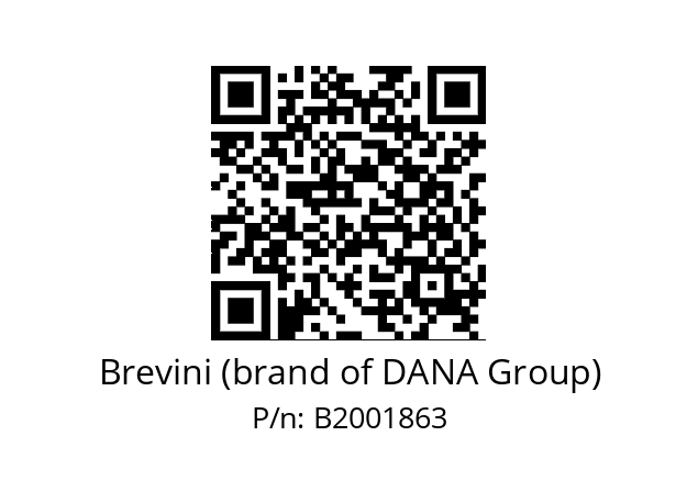   Brevini (brand of DANA Group) B2001863