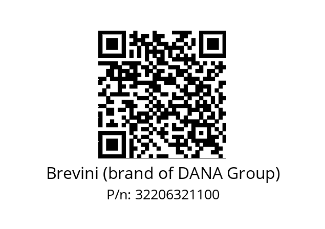   Brevini (brand of DANA Group) 32206321100