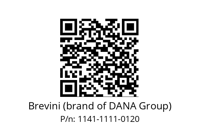   Brevini (brand of DANA Group) 1141-1111-0120