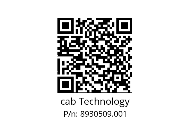   cab Technology 8930509.001