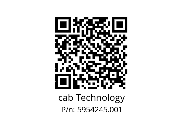   cab Technology 5954245.001