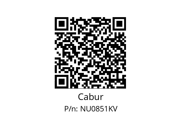  CNU/8/51/K CARD 100 TAGS K VERT. Cabur NU0851KV