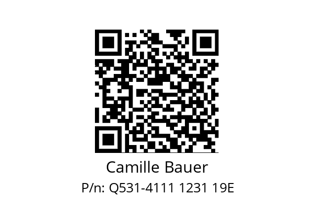   Camille Bauer Q531-4111 1231 19E