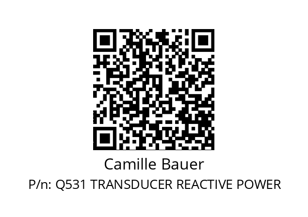   Camille Bauer Q531 TRANSDUCER REACTIVE POWER