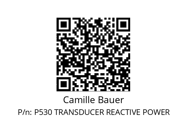   Camille Bauer P530 TRANSDUCER REACTIVE POWER